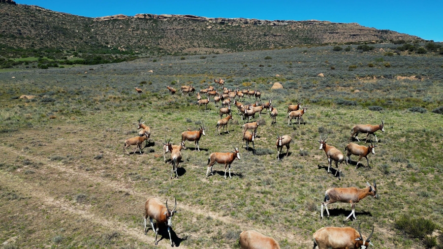 0 Bedroom Property for Sale in Lady Grey Eastern Cape